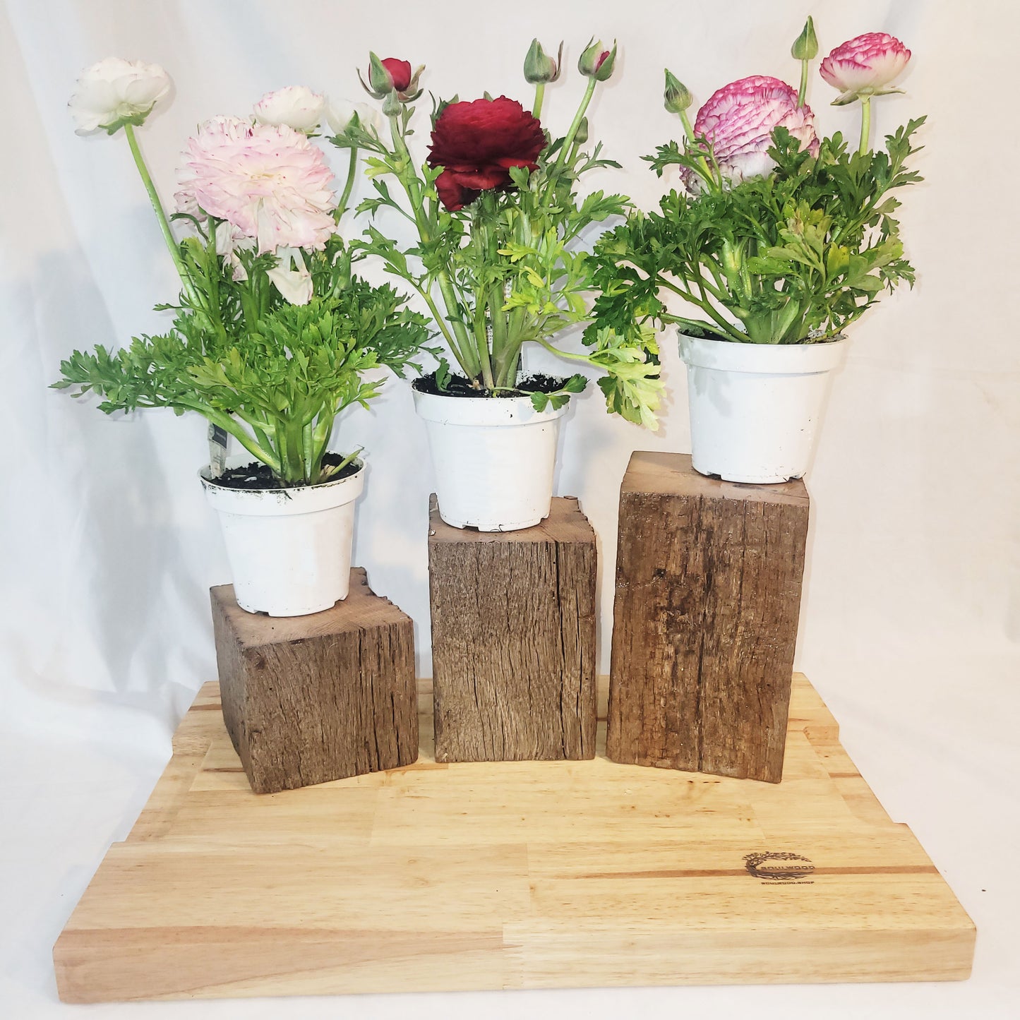Barn Beam Pedestal Plant Stands