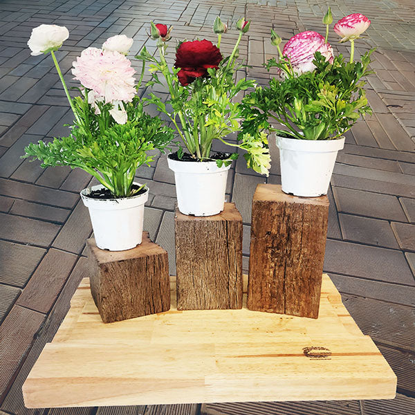 pedestal pot plant stand Barn Beam Pedestal Plant Stands – Ron Fuhrer Designs