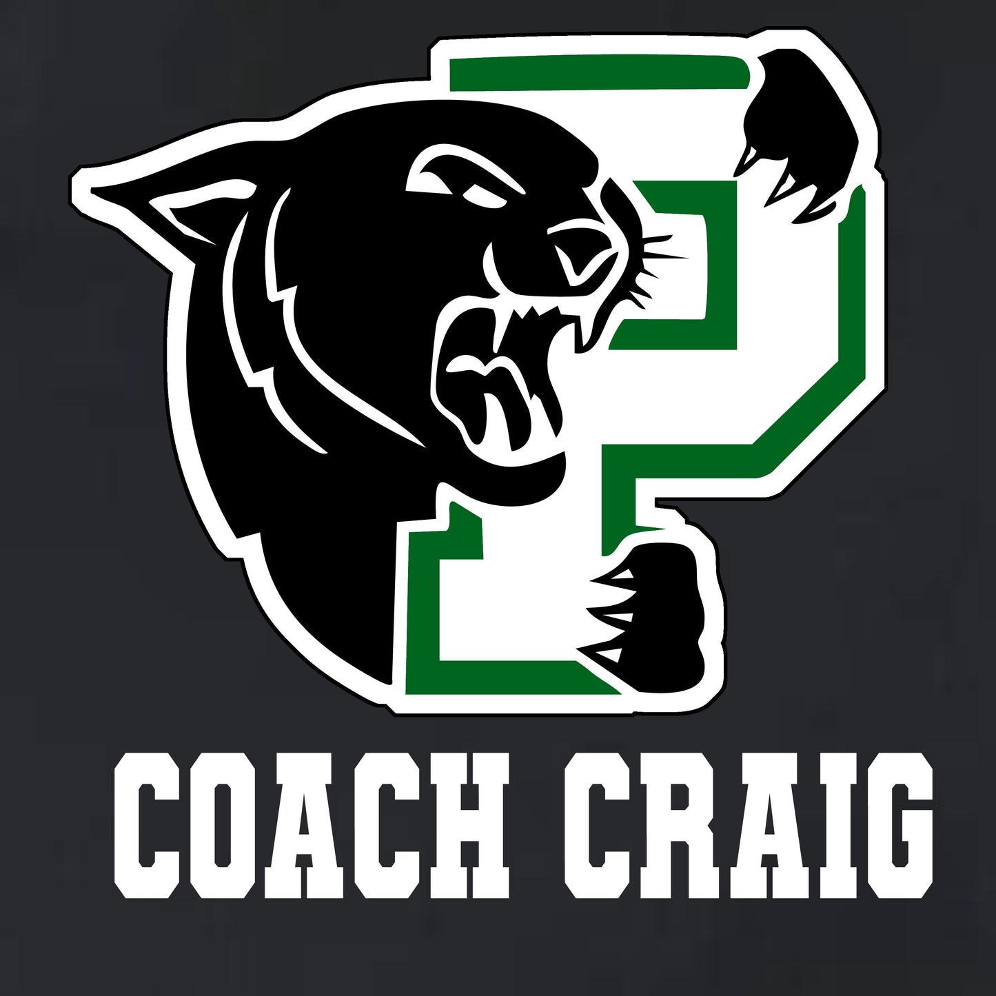 Palmer Coach Hoodie
