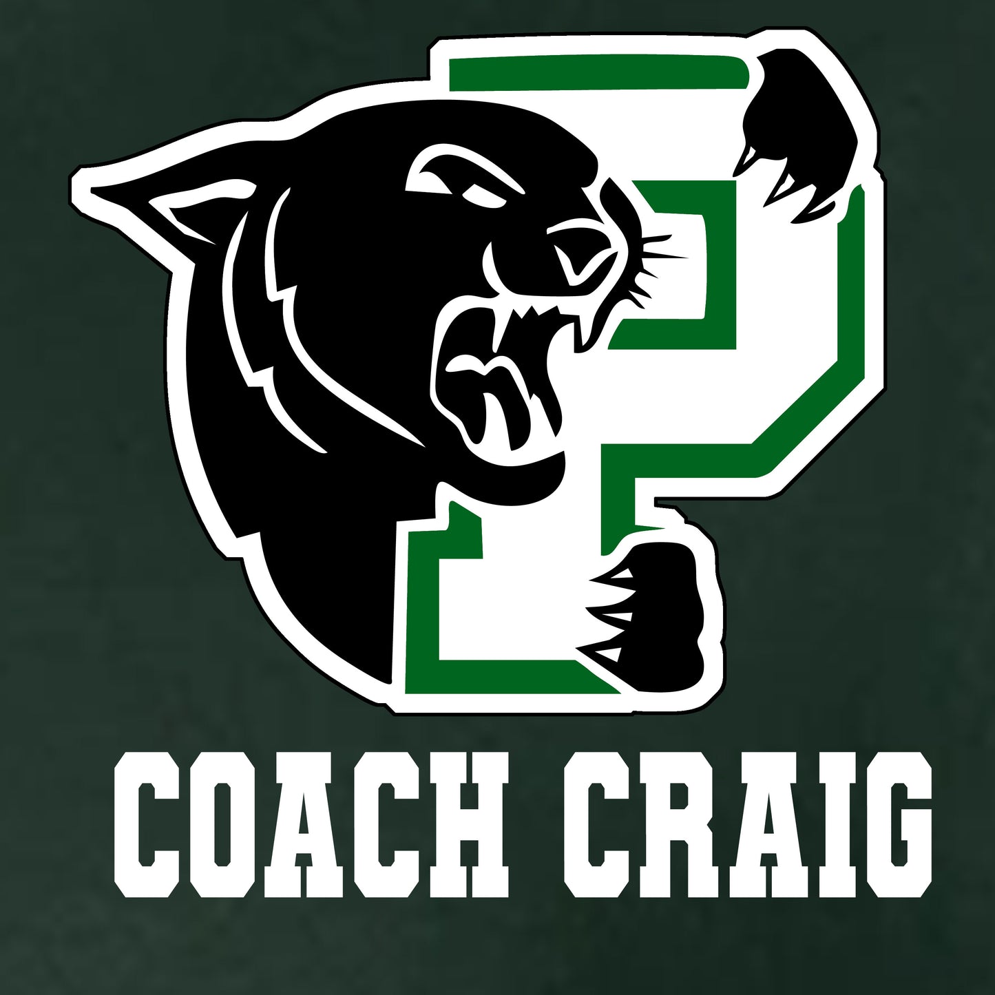 Palmer Coach Hoodie